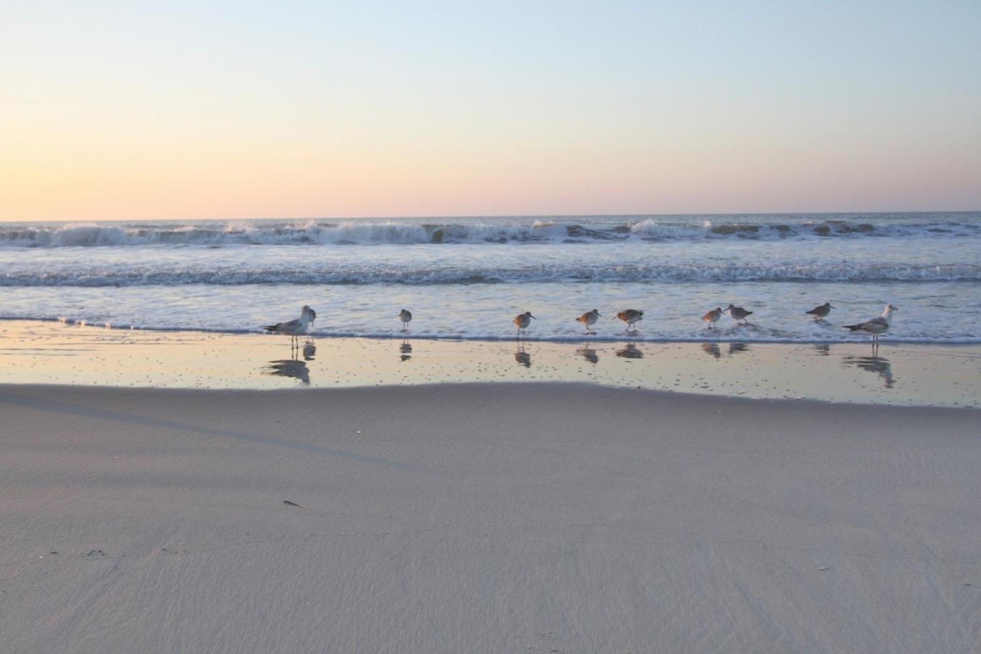 Ocean Pearl Villa Isle of Palms Kültér fotó